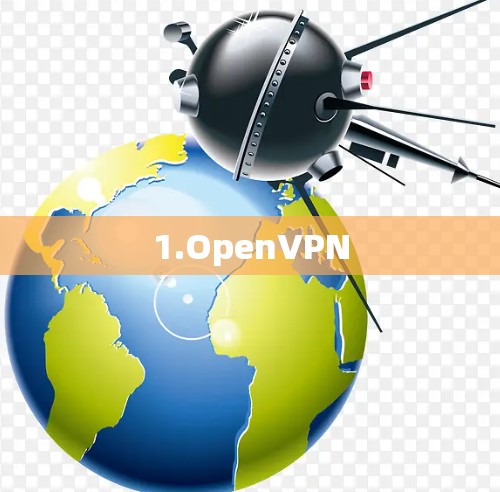 1.OpenVPN 1.OpenVPN