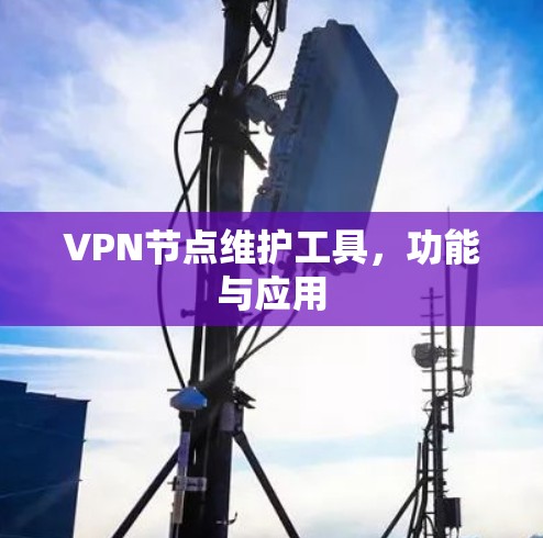 VPN节点维护工具,功能与应用 VPN节点维护工具,功能与应用