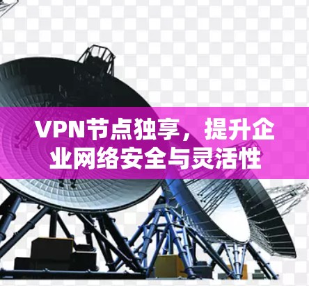 VPN节点独享,提升企业网络安全与灵活性 VPN节点独享,提升企业网络安全与灵活性