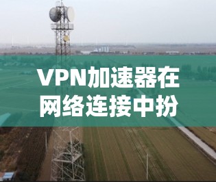 VPN加速器在网络连接中扮演着重要角色，能够显著提升速度、稳定性和安全性。以下是对VPN加速器体验的详细分析和优化建议