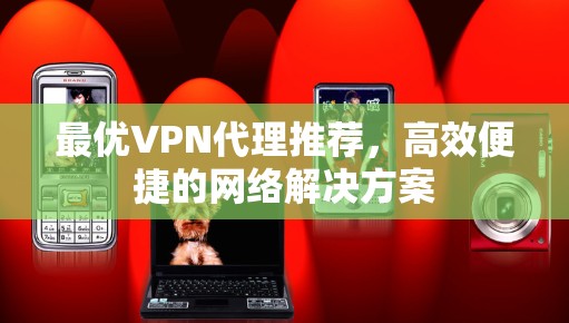 最优VPN代理推荐，高效便捷的网络解决方案