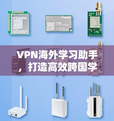 VPN海外学习助手，打造高效跨国学习的技术支撑平台