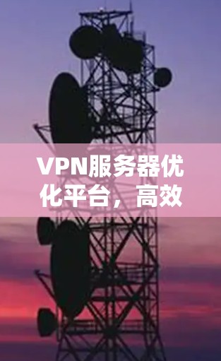 VPN服务器优化平台，高效解决方案