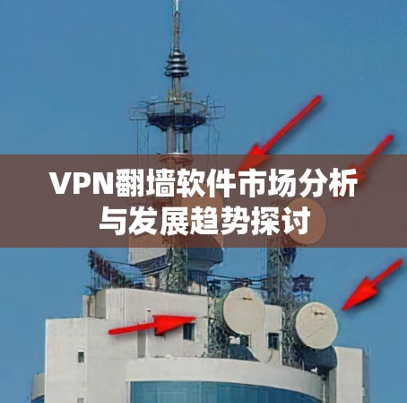 VPN翻墙软件市场分析与发展趋势探讨