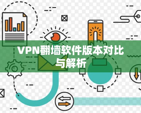 VPN翻墙软件版本对比与解析