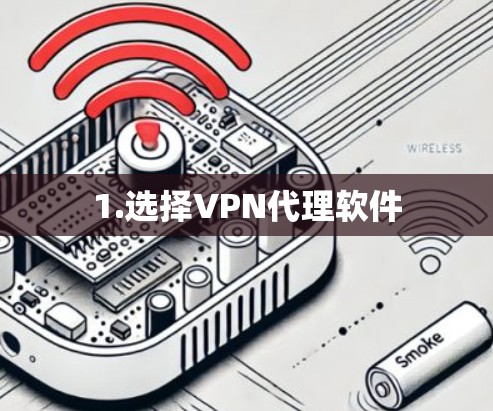 1.选择VPN代理软件