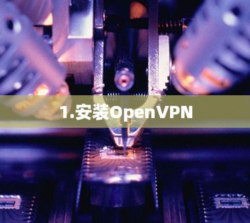 1.安装OpenVPN 1.安装OpenVPN