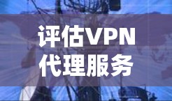评估VPN代理服务器的连接速度是一个综合性的过程,涵盖了多个关键因素。以下是一个有条理的步骤指南,帮助您全面评估VPN代理服务器的连接速度 评估VPN代理服务器的连接速度是一个综合性的过程,涵盖了多个关键因素。以下是一个有条理的步骤指南,帮助您全面评估VPN代理服务器的连接速度