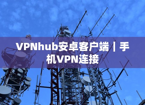 VPNhub安卓客户端｜手机VPN连接