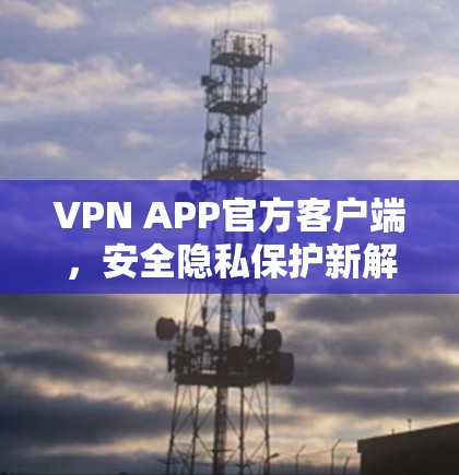 VPN APP官方客户端,安全隐私保护新解决方案 VPN APP官方客户端,安全隐私保护新解决方案