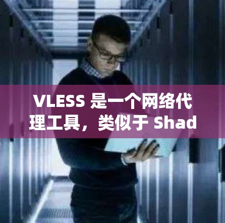 VLESS 是一个网络代理工具,类似于 Shadowsocks,用于绕过网络限制。以下是设置 VLESS 的基本规则和步骤 VLESS 是一个网络代理工具,类似于 Shadowsocks,用于绕过网络限制。以下是设置 VLESS 的基本规则和步骤