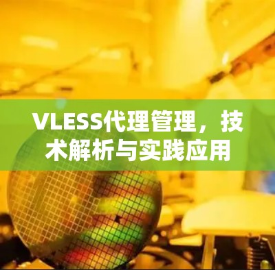 VLESS代理管理,技术解析与实践应用 VLESS代理管理,技术解析与实践应用