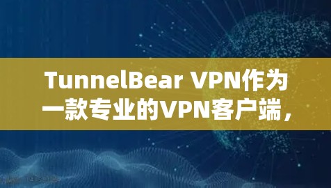 TunnelBear VPN作为一款专业的VPN客户端,具备以下主要优点 TunnelBear VPN作为一款专业的VPN客户端,具备以下主要优点