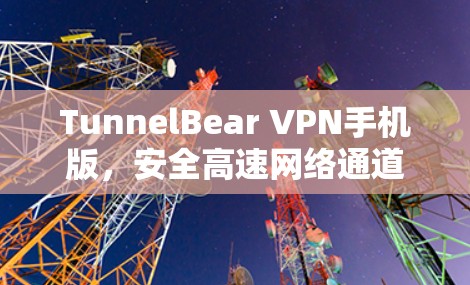 TunnelBear VPN手机版,安全高速网络通道 TunnelBear VPN手机版,安全高速网络通道