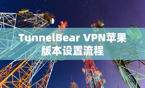 TunnelBear VPN苹果版本设置流程 TunnelBear VPN苹果版本设置流程