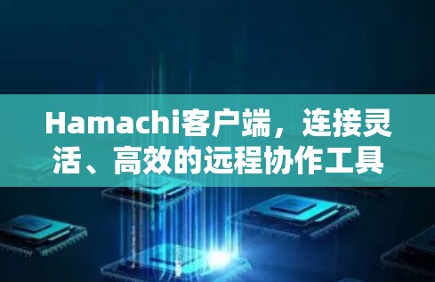 Hamachi客户端，连接灵活、高效的远程协作工具