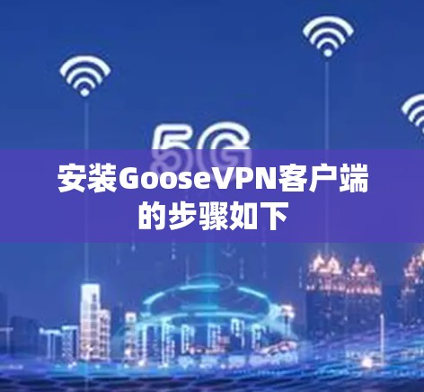安装GooseVPN客户端的步骤如下 安装GooseVPN客户端的步骤如下