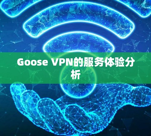 Goose VPN的服务体验分析 Goose VPN的服务体验分析