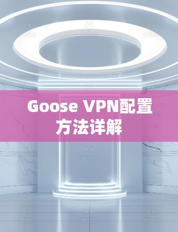 Goose VPN配置方法详解