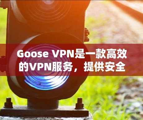 Goose VPN是一款高效的VPN服务，提供安全和隐私保护。以下是关于其官网和下载信息的详细指南