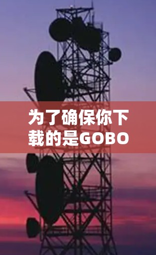 为了确保你下载的是GOBOY VPN的正版软件,请按照以下步骤操作 为了确保你下载的是GOBOY VPN的正版软件,请按照以下步骤操作