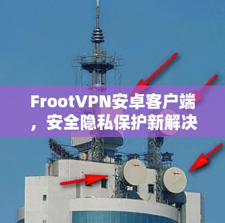 FrootVPN安卓客户端,安全隐私保护新解决方案 FrootVPN安卓客户端,安全隐私保护新解决方案