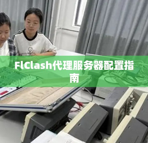 FlClash代理服务器配置指南 FlClash代理服务器配置指南