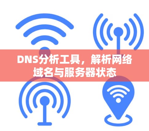 DNS分析工具,解析网络域名与服务器状态 DNS分析工具,解析网络域名与服务器状态