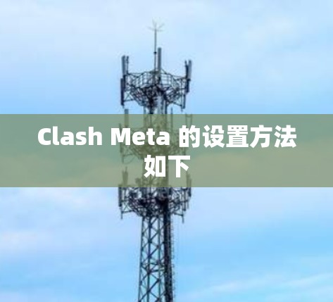 Clash Meta 的设置方法如下 Clash Meta 的设置方法如下