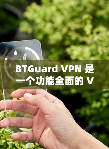 BTGuard VPN 是一个功能全面的 VPN 守护工具，旨在提供隐私保护、文件共享加速以及多平台支持等服务。以下是对 BTGuard VPN 功能的详细评测，帮助您全面了解其能力和潜在的优缺点