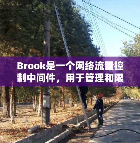 Brook是一个网络流量控制中间件,用于管理和限制网络流量。以下是设置Brook规则的基本步骤和常见配置方法 Brook是一个网络流量控制中间件,用于管理和限制网络流量。以下是设置Brook规则的基本步骤和常见配置方法