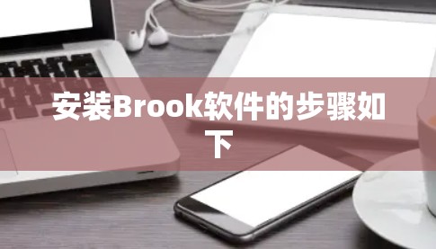 安装Brook软件的步骤如下