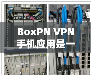 BoxPN VPN手机应用是一个功能强大的选项,适合需要在多个平台上使用VPN的用户。以下是对BoxPN的详细分析和总结 BoxPN VPN手机应用是一个功能强大的选项,适合需要在多个平台上使用VPN的用户。以下是对BoxPN的详细分析和总结