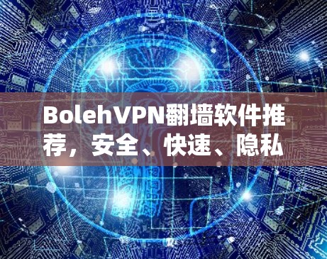 BolehVPN翻墙软件推荐,安全、快速、隐私保护 BolehVPN翻墙软件推荐,安全、快速、隐私保护