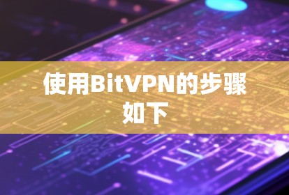 使用BitVPN的步骤如下 使用BitVPN的步骤如下