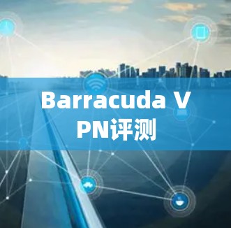 Barracuda VPN评测 Barracuda VPN评测