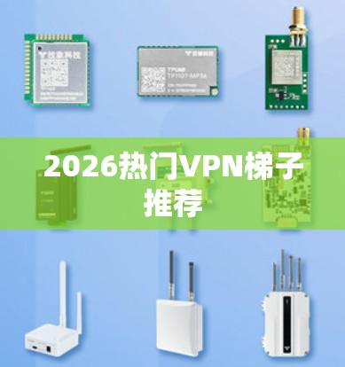 2026热门VPN梯子推荐 2026热门VPN梯子推荐