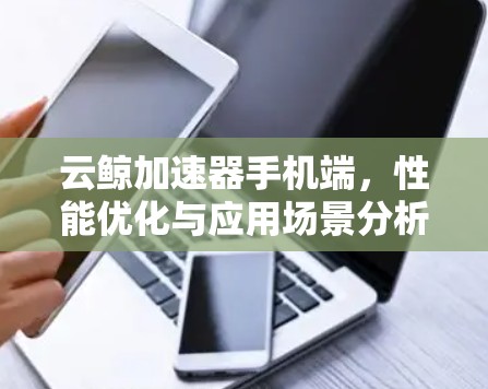 云鲸加速器手机端，性能优化与应用场景分析