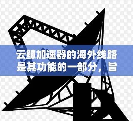 云鲸加速器的海外线路是其功能的一部分，旨在为用户提供更快的国际网络访问服务。以下是对这一功能的详细分析