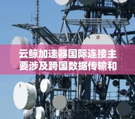 云鲸加速器国际连接主要涉及跨国数据传输和应用性能优化，以下是详细的解决方案